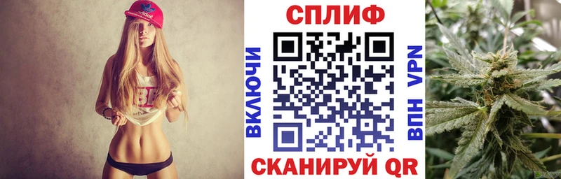Как найти наркотики Сосновый Бор ГАШИШ COCAIN A PVP АМФЕТАМИН Меф