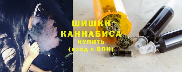 шишки Аркадак