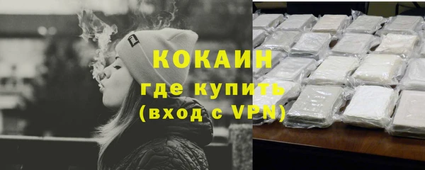шишки Аркадак
