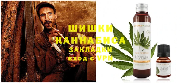 шишки Аркадак