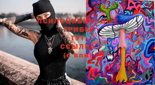 шишки Аркадак