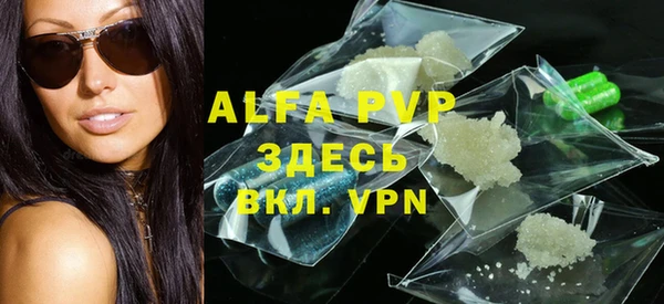 шишки Аркадак