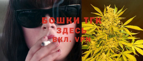 шишки Аркадак