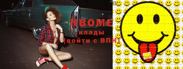 шишки Аркадак