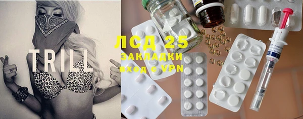шишки Аркадак