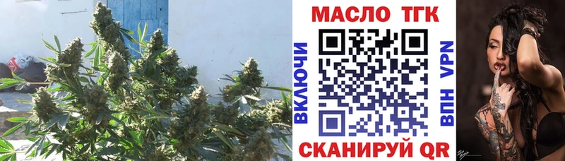 где купить наркотик  Сосновый Бор  Дистиллят ТГК вейп с тгк 